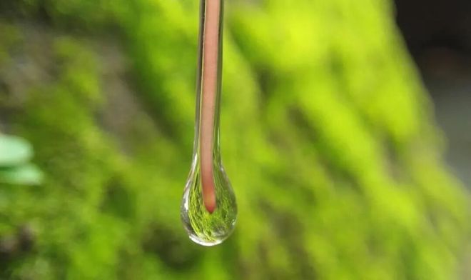 高考地理重点概念蒸散量及影响因素全解析