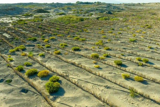 高考地理重点概念蒸散量及影响因素全解析