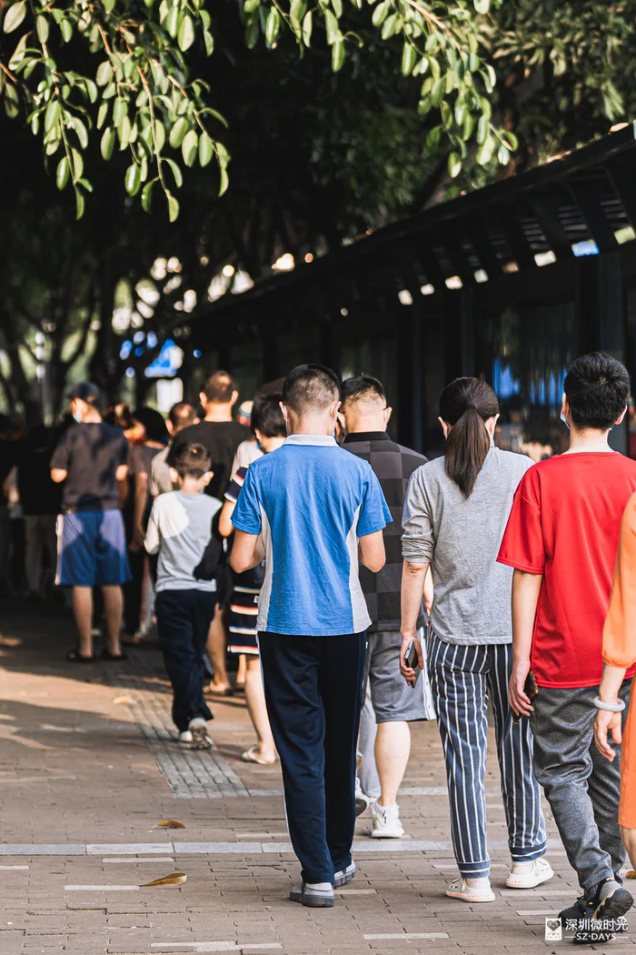 深圳高考复读市场现状:机构民办三分天下,收费差异大