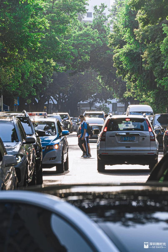深圳高考复读市场现状:机构民办三分天下,收费差异大