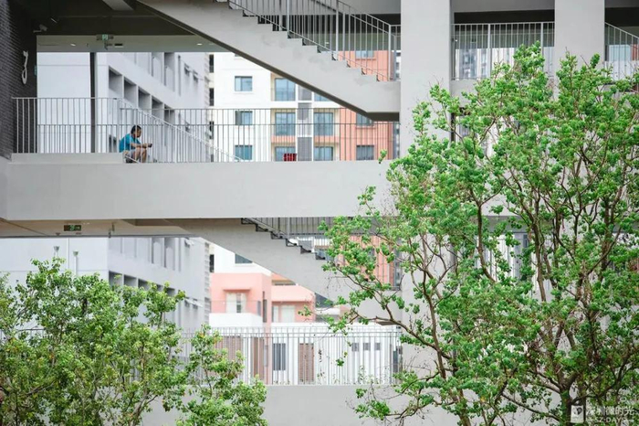 深圳高考复读市场现状:机构民办三分天下,收费差异大