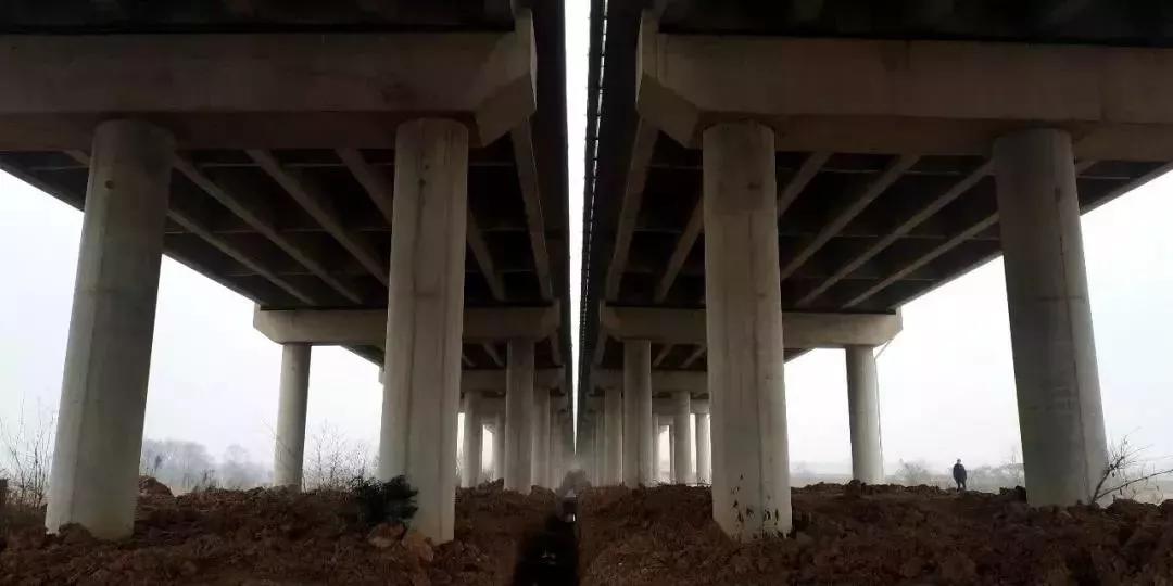 高速免费通行技巧及安全指南,自驾出发前必看