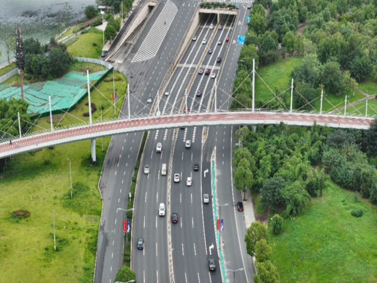 不限行25天!春节期间成都交通平稳有序,游客自驾体验超预期