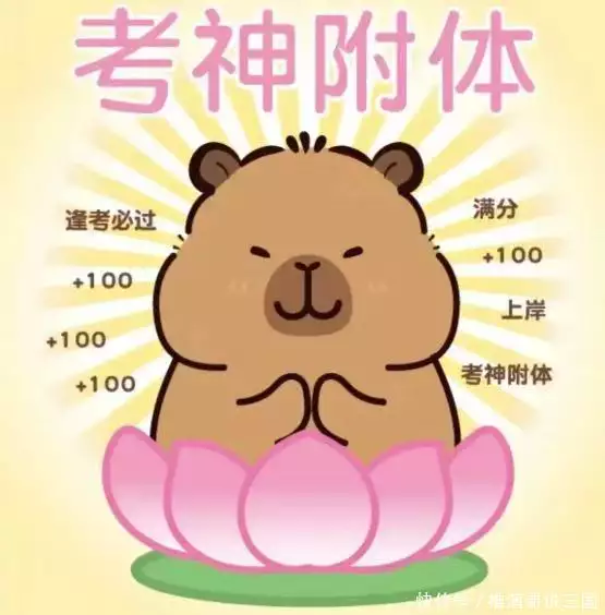 高考倒计时100天冲刺秘籍:知识梳理+心态调整+健康管理