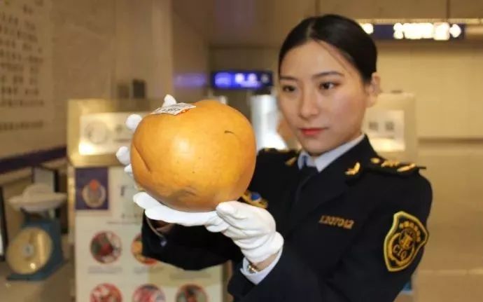 天津今日启动重污染天气响应,这些车单双号限行啦