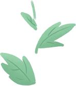 春节期间哪些快递停运？多家快递公司春节运营情况汇总