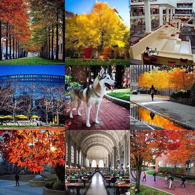 留学党血泪史:学校周边啥都没有,这留学体验太差劲了