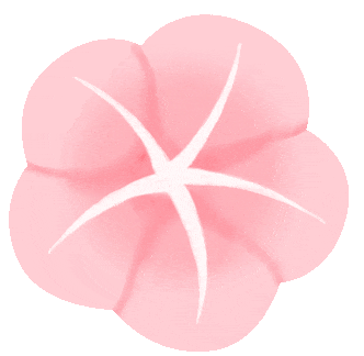 大学社交指南:课堂学习与校园生活中的人际关系智慧